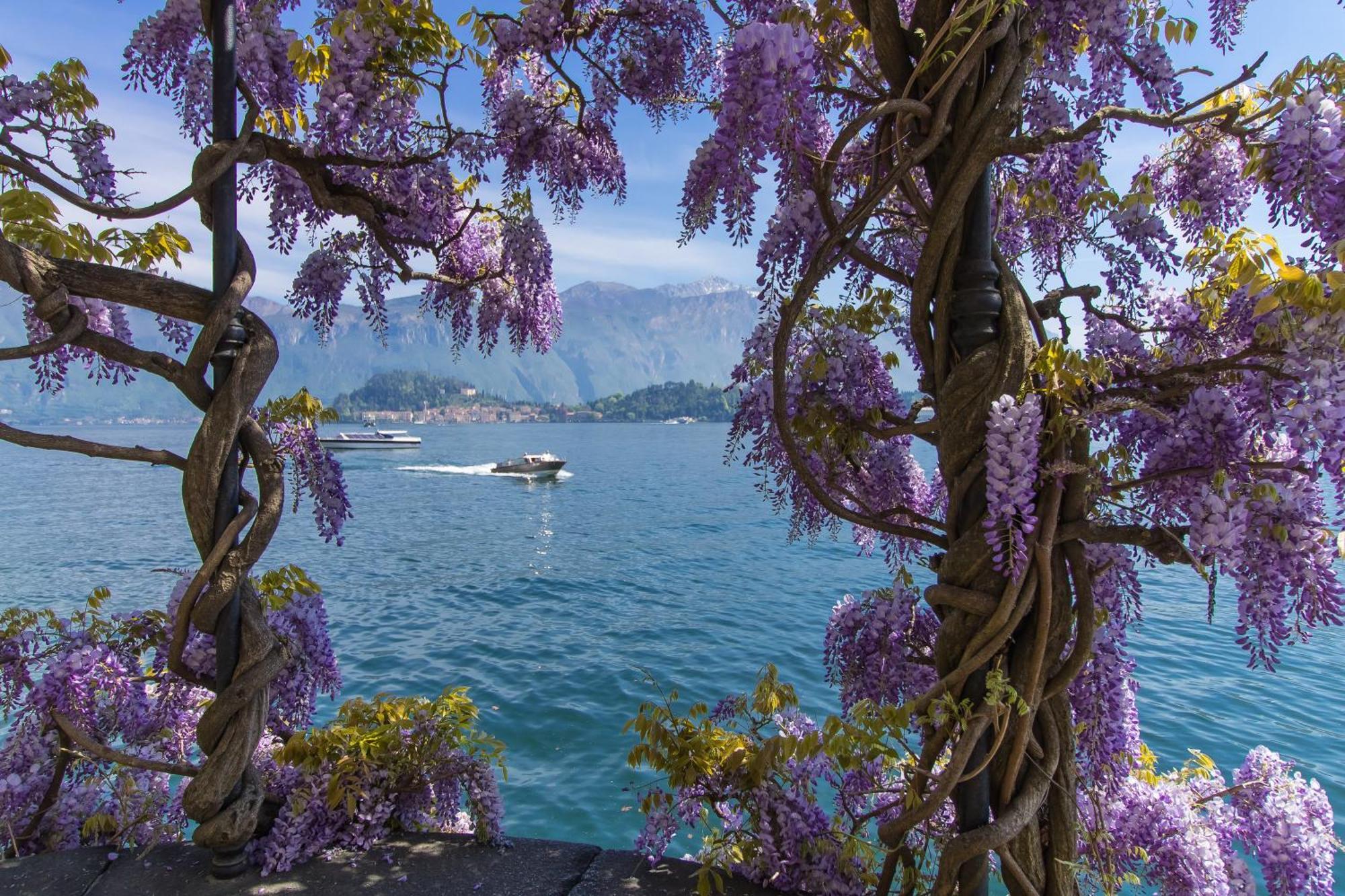 Residence Degli Oleandri 1A Argegno Bagian luar foto